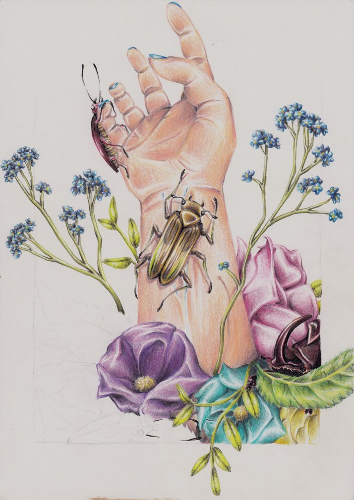 Hand mit Käfern - Zwischenschritt 2