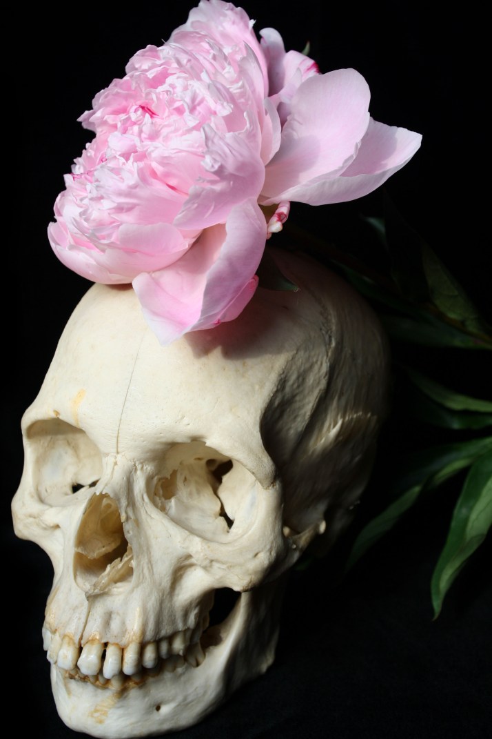 Schädel & Blumen