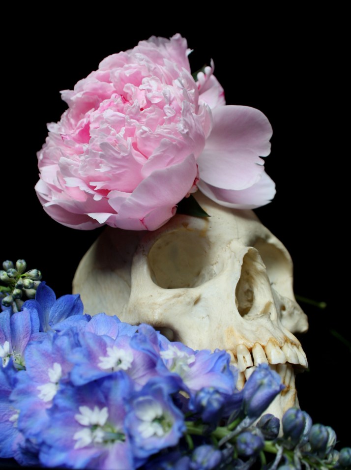Schädel & Blumen