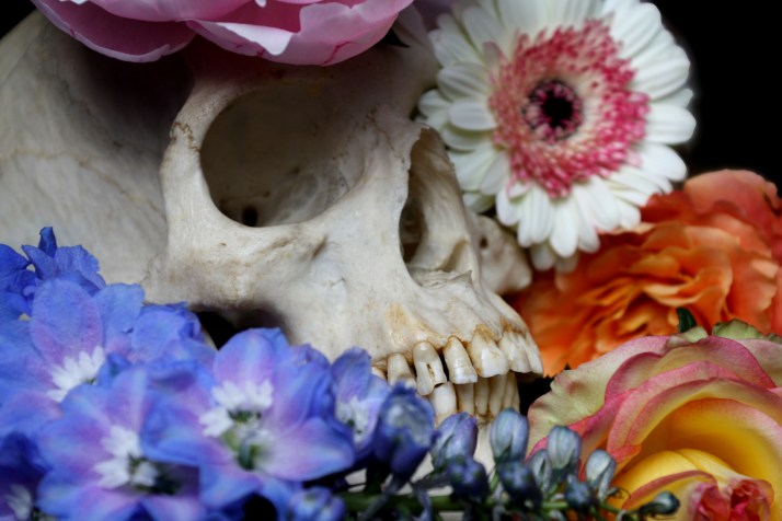 Schädel & Blumen