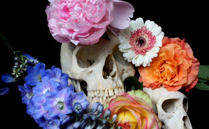 Schädel & Blumen
