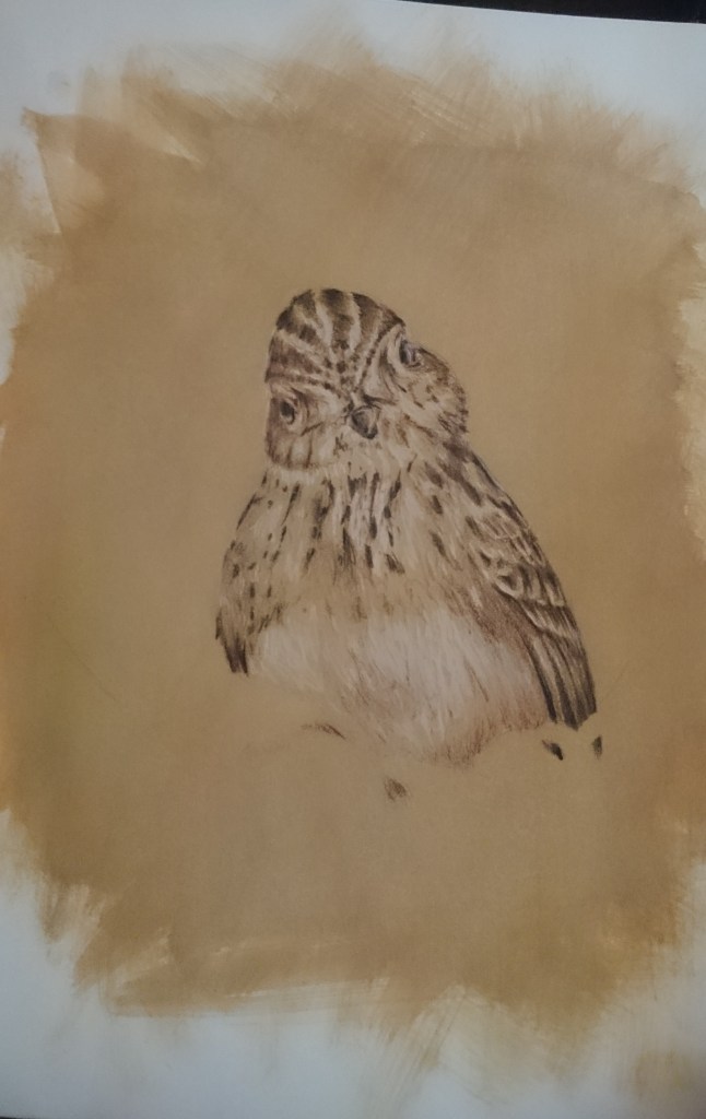 Feldlärche in Blumen