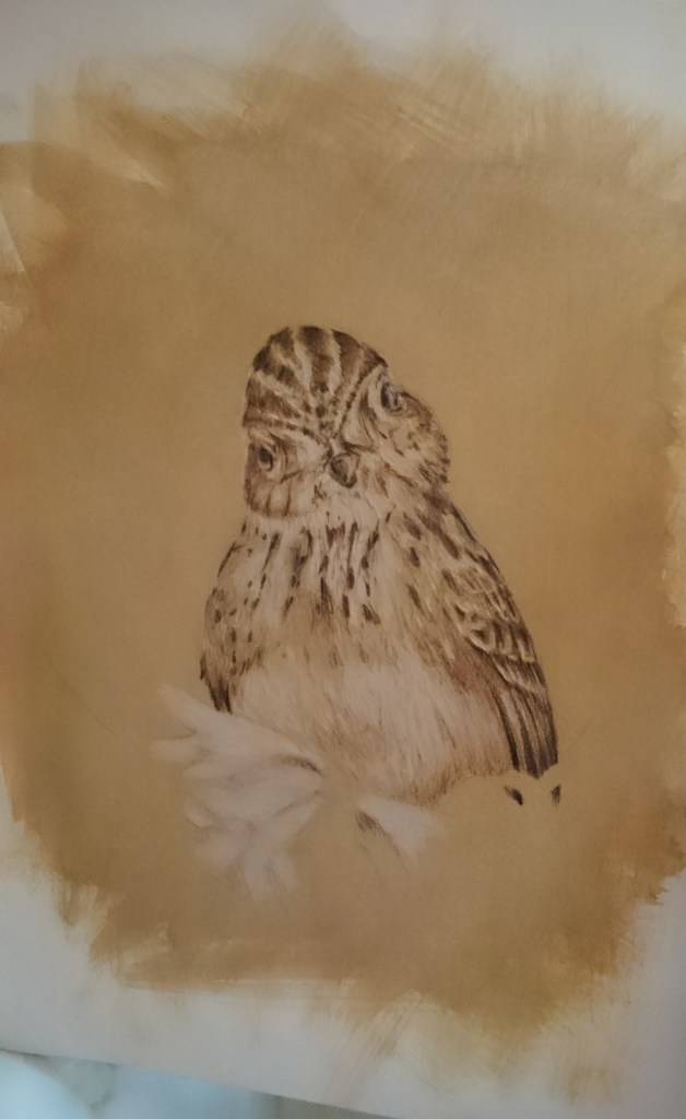 Feldlärche in Blumen