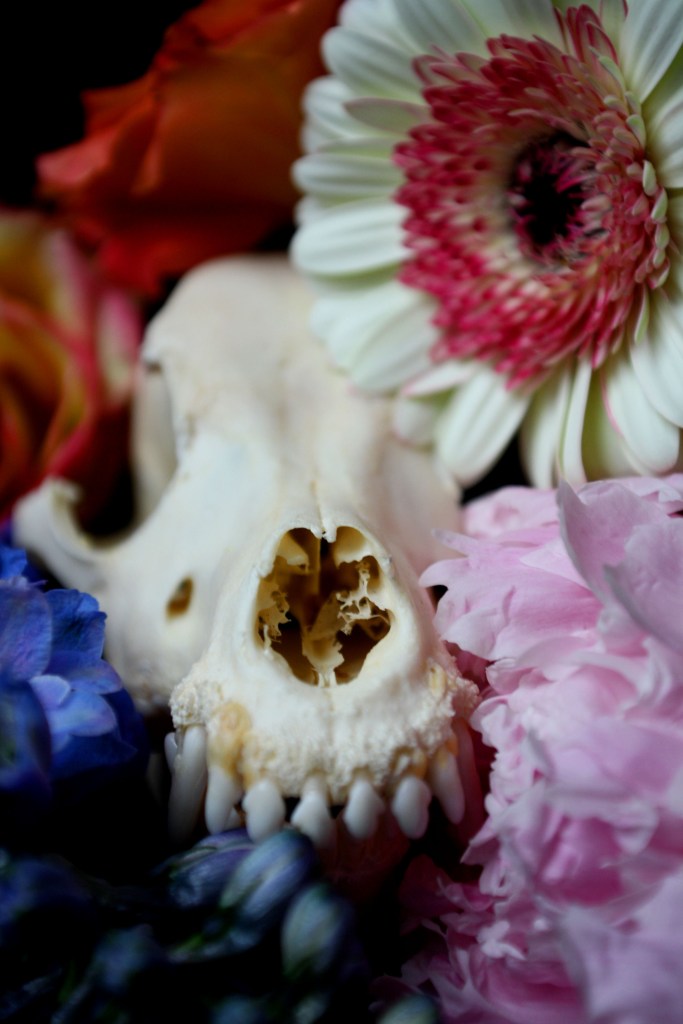 Schädel & Blumen