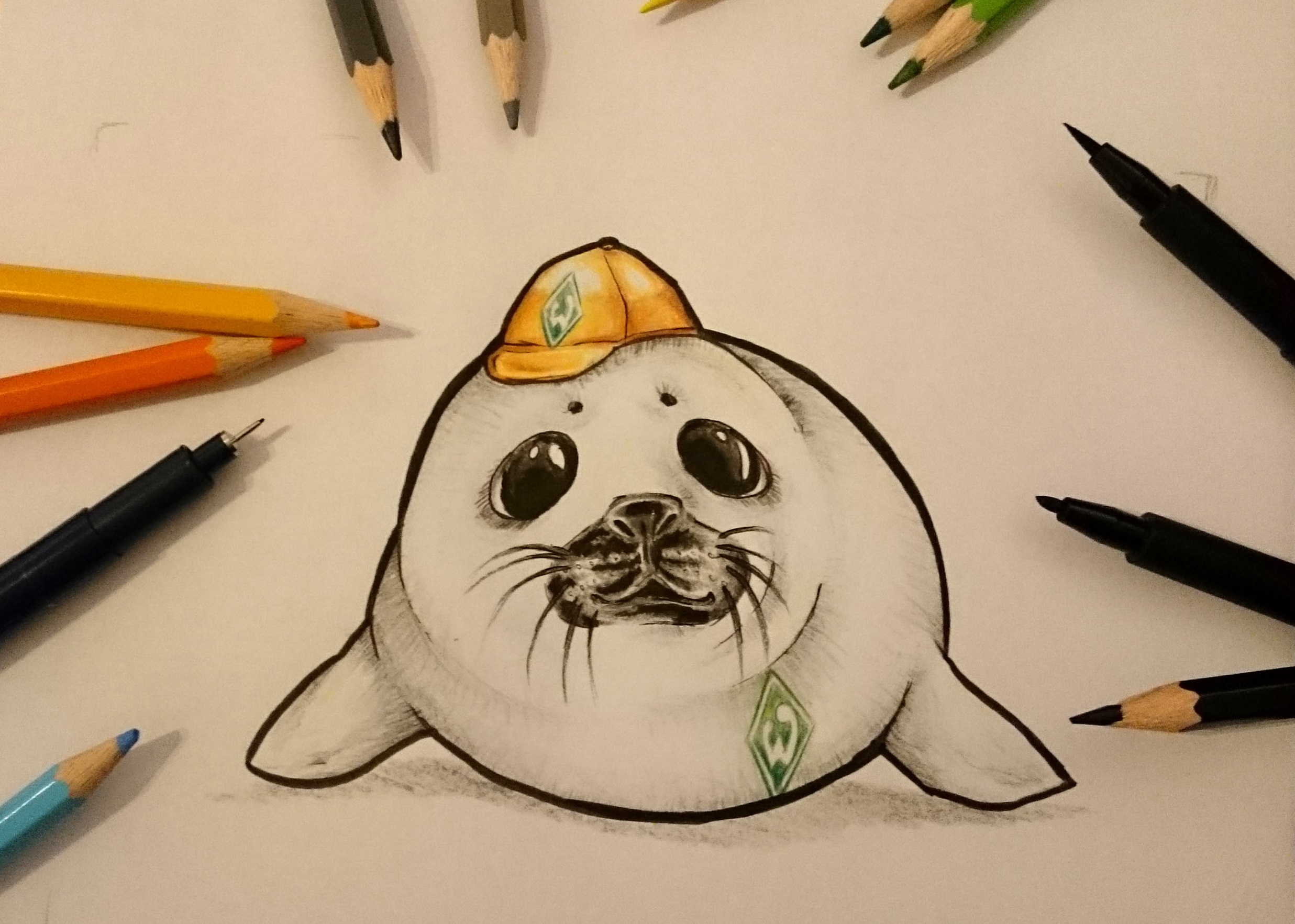 Werder Bremen Robbe 1