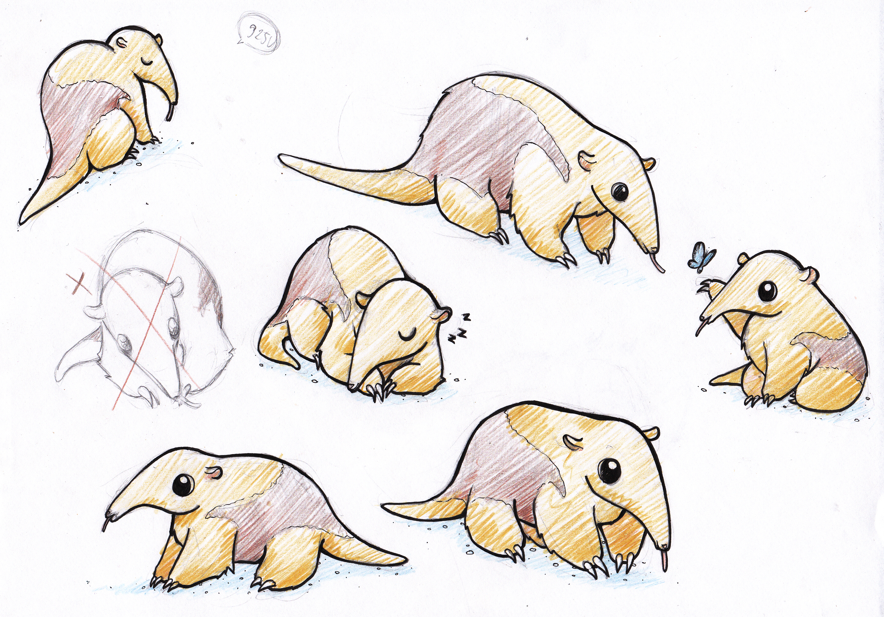 Tamandua - Entwicklungsprozess 01