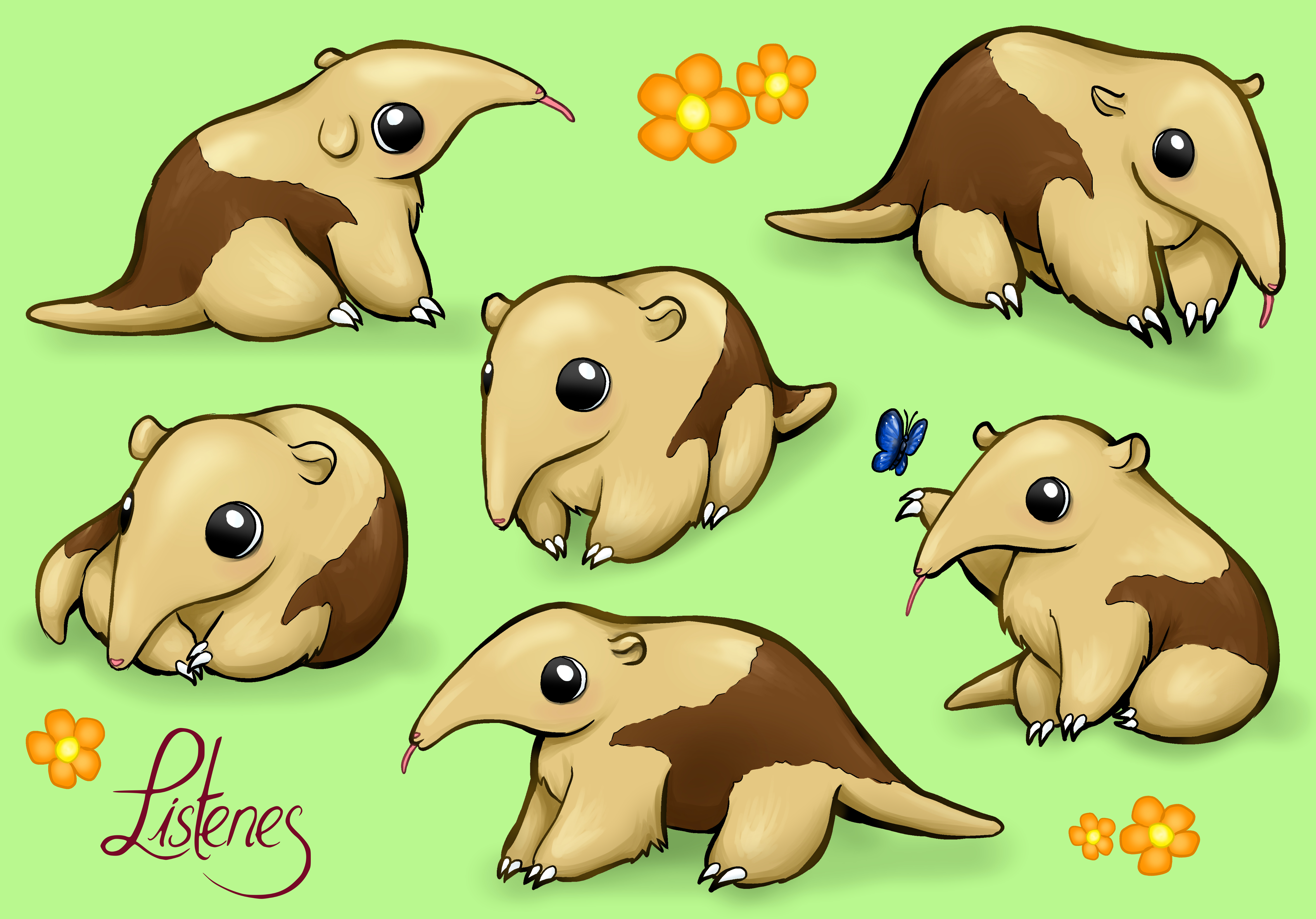 Tamandua mit Schatten